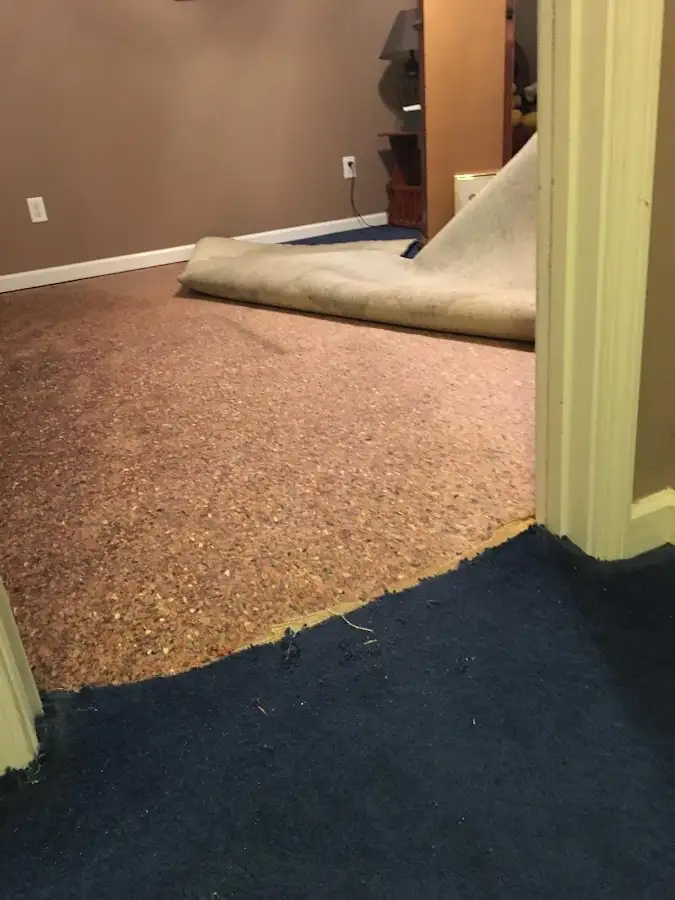 Carpet pad removal revealing water damage during Water Mitigation Services in Scenic Oaks
