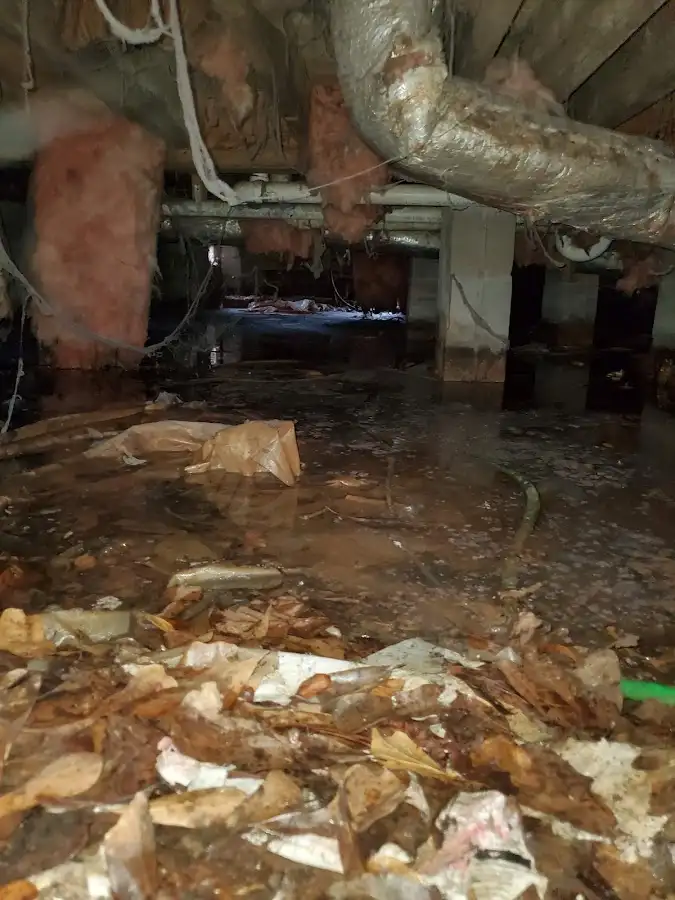 Crawl space flood assessment for Commercial Water Damage Restoration in Scenic Oaks